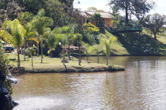 Os benefícios terapêuticos de viver próximo à natureza